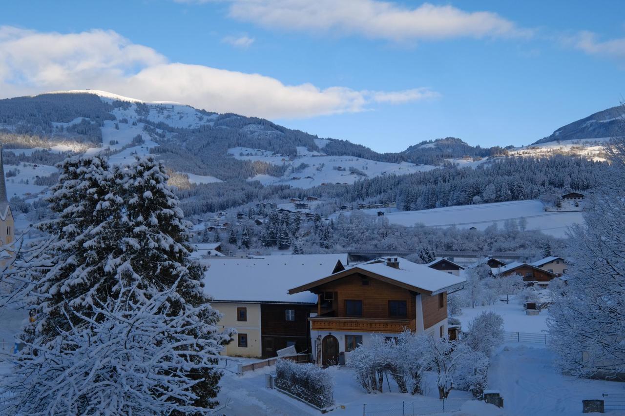 Apartmán Alpin Penthouse Hollersbach Hollersbach im Pinzgau Exteriér fotografie