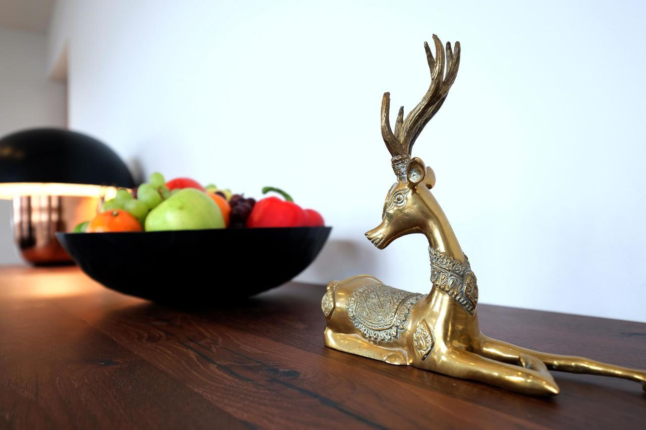Apartmán Alpin Penthouse Hollersbach Hollersbach im Pinzgau Exteriér fotografie
