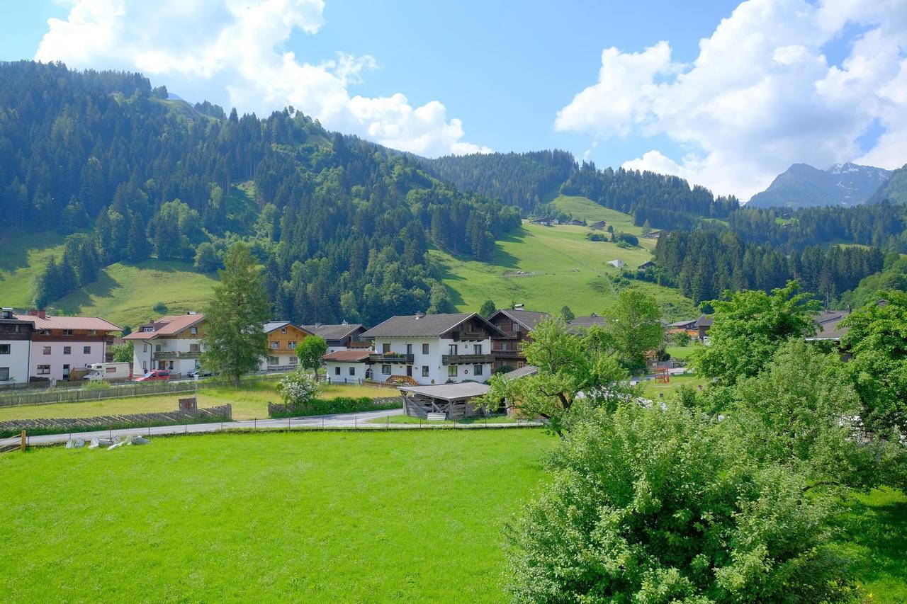 Apartmán Alpin Penthouse Hollersbach Hollersbach im Pinzgau Exteriér fotografie